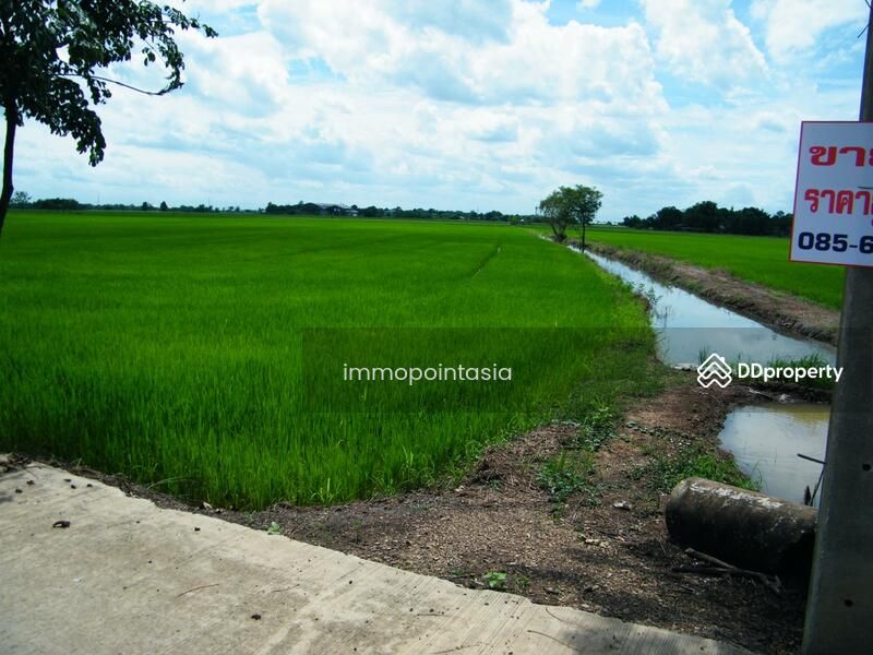 <? echo $keyword ; ?>