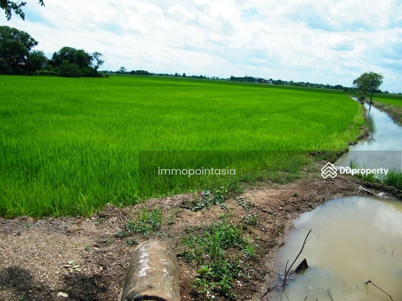 <? echo $keyword ; ?>