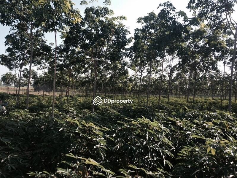 <? echo $keyword ; ?>