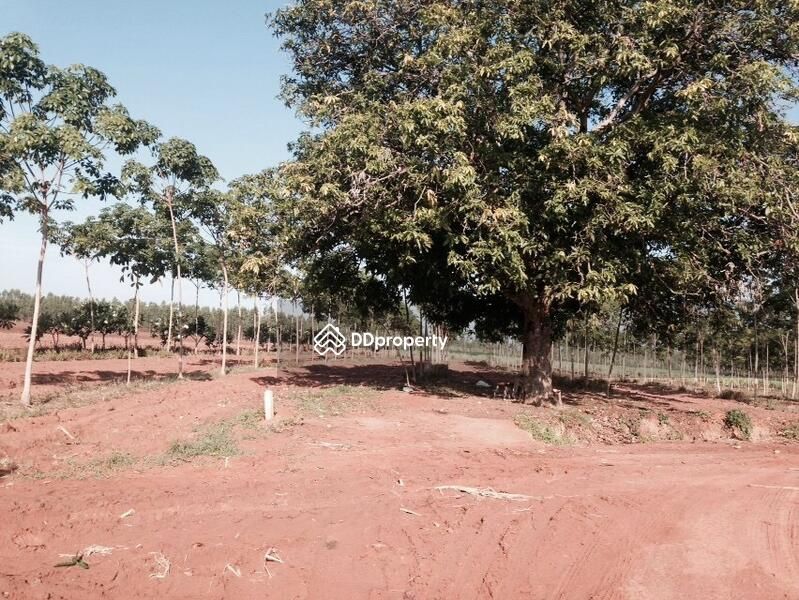 <? echo $keyword ; ?>