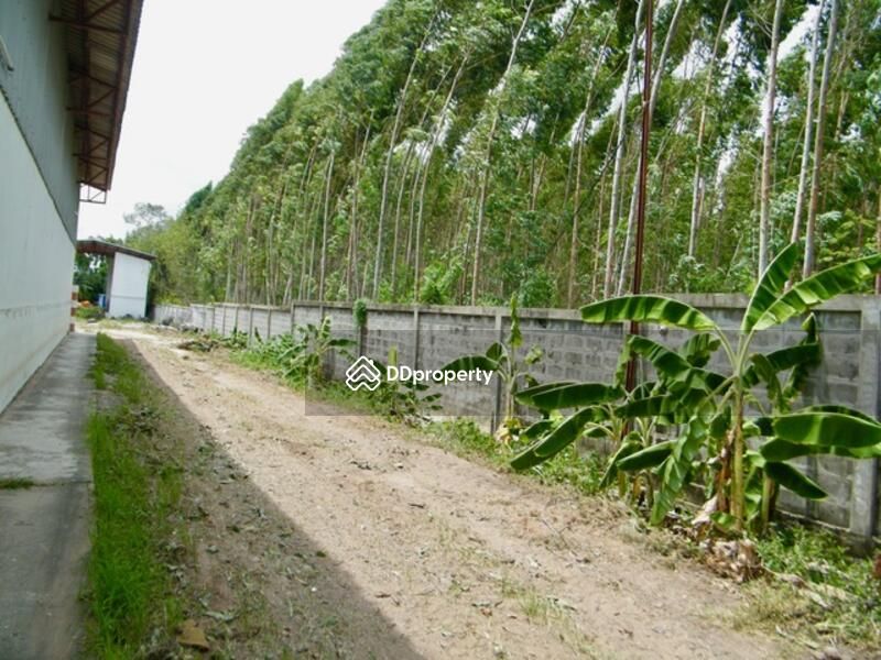 <? echo $keyword ; ?>