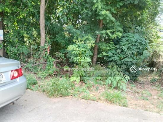 <? echo $keyword ; ?>