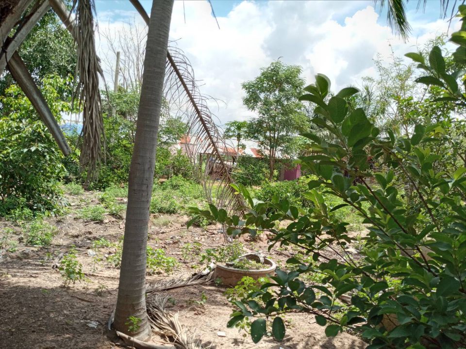 <? echo $keyword ; ?>