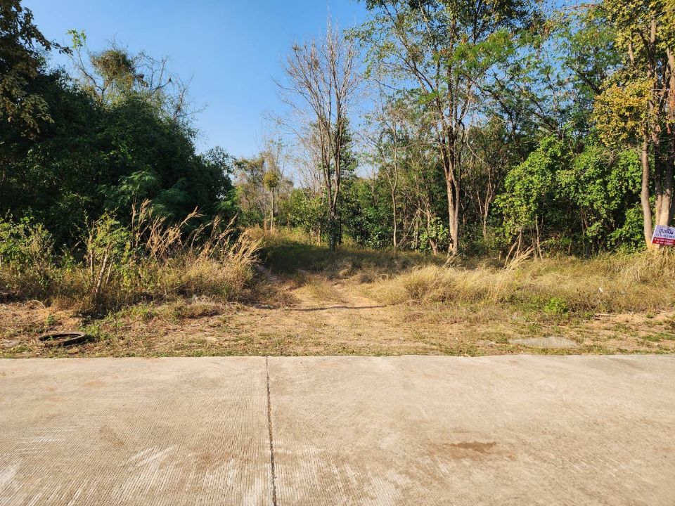 <? echo $keyword ; ?>