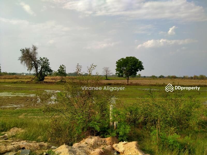 <? echo $keyword ; ?>