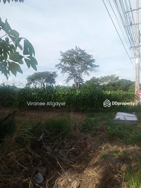 <? echo $keyword ; ?>