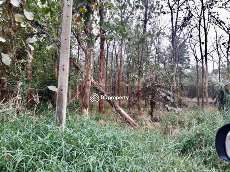 ขายบ้าน , ขายบ้าน โคราช , เช่าบ้าน , เช่าบ้าน โคราช , แบบบ้าน , รูปบ้าน , บ้านสวยๆ , บ้านเช่าราคาถูก , บ้านขายราคาถูก , บ้านให้เช่า ,ขายคอนโด , ขายคอนโด โคราช , เช่าคอนโด , เช่าคอนโด โคราช , แบบคอนโด , รูปคอนโด , คอนโดสวยๆ , คอนโดเช่าราคาถูก , คอนโดขายราคาถูก , คอนโดให้เช่า ,ขายวิลล่า , ขายวิลล่า โคราช , เช่าวิลล่า , เช่าวิลล่า โคราช , แบบวิลล่า , รูปวิลล่า , วิลล่าสวยๆ , วิลล่าเช่าราคาถูก , วิลล่าขายราคาถูก , วิลล่าให้เช่า ,ขายทาวน์เฮ้าส์ , ขายทาวน์เฮ้าส์ โคราช , เช่าทาวน์เฮ้าส์ , เช่าทาวน์เฮ้าส์ โคราช , แบบทาวน์เฮ้าส์ , รูปทาวน์เฮ้าส์ , ทาวน์เฮ้าส์สวยๆ , ทาวน์เฮ้าส์เช่าราคาถูก , ทาวน์เฮ้าส์ขายราคาถูก , ทาวน์เฮ้าส์ให้เช่า ,ขายทาวน์เฮ้าส์ , ขายทาวน์เฮ้าส์ โคราช , เช่าทาวน์เฮ้าส์ , เช่าทาวน์เฮ้าส์ โคราช , แบบทาวน์เฮ้าส์ , รูปทาวน์เฮ้าส์ , ทาวน์เฮ้าส์สวยๆ , ทาวน์เฮ้าส์เช่าราคาถูก , ทาวน์เฮ้าส์ขายราคาถูก , ทาวน์เฮ้าส์ให้เช่า ,ขายสำนักงาน , ขายสำนักงาน โคราช , เช่าสำนักงาน , เช่าสำนักงาน โคราช , แบบสำนักงาน , รูปสำนักงาน , สำนักงานสวยๆ , สำนักงานเช่าราคาถูก , สำนักงานขายราคาถูก , สำนักงานให้เช่า ,ขายที่ดิน , ขายที่ดิน โคราช , เช่าที่ดิน , เช่าที่ดิน โคราช  , รูปที่ดิน , ที่ดินสวยๆ , ที่ดินเช่าราคาถูก , ที่ดินขายราคาถูก , ที่ดินให้เช่า , บ้านเช่า โคราช 