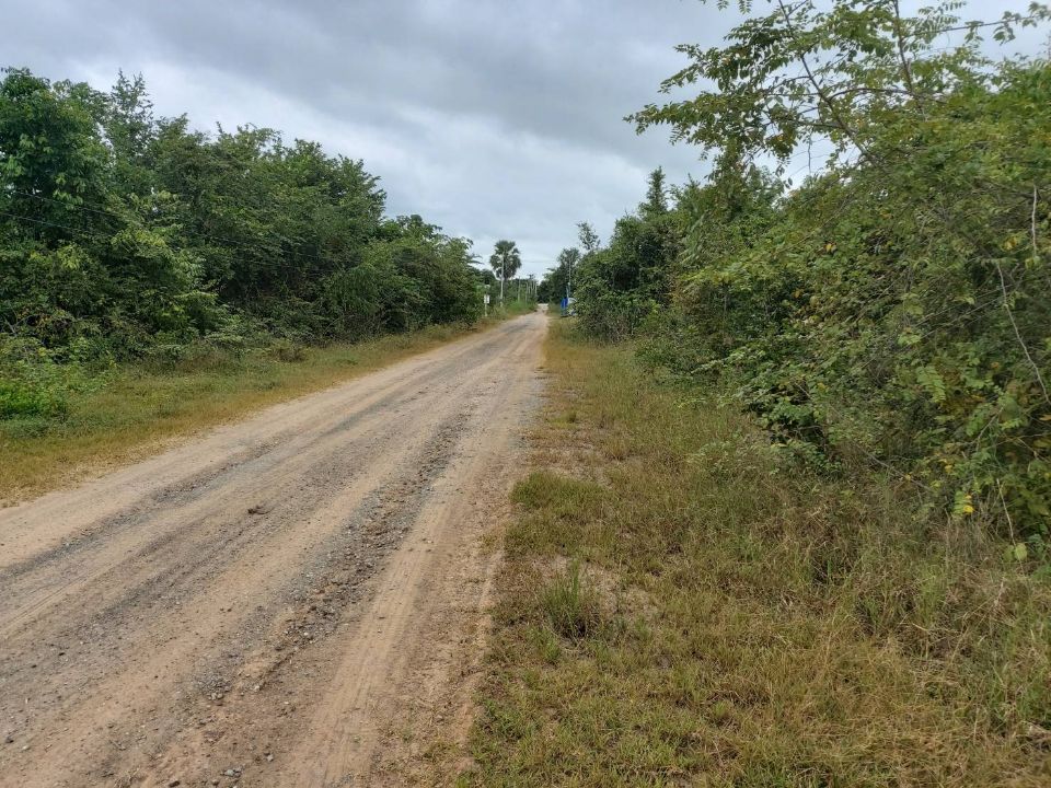 <? echo $keyword ; ?>