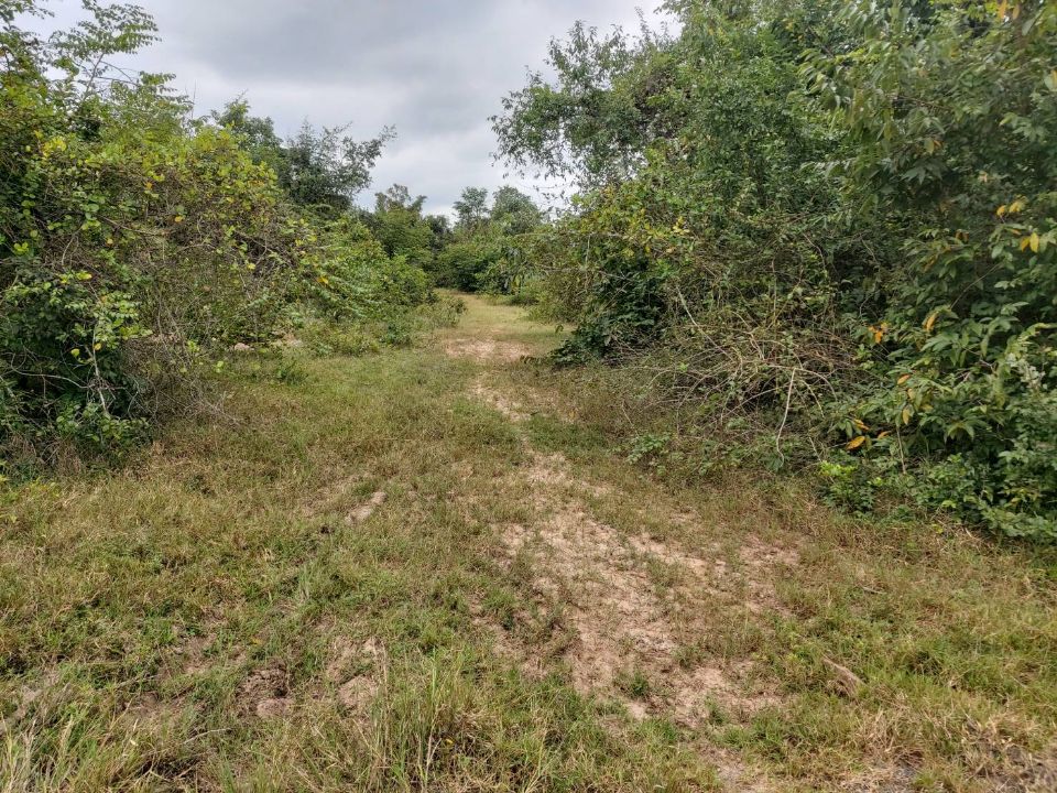 <? echo $keyword ; ?>