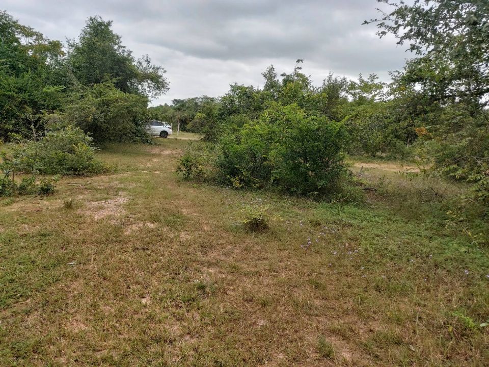 <? echo $keyword ; ?>