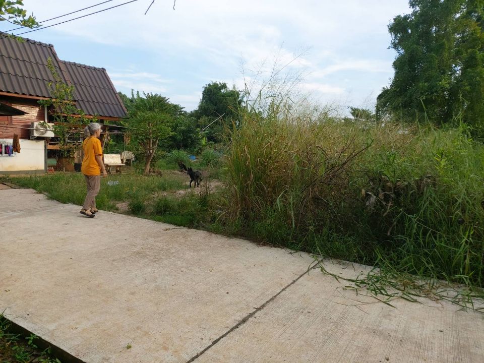 <? echo $keyword ; ?>