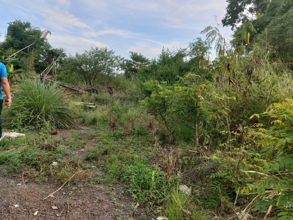 <? echo $keyword ; ?>