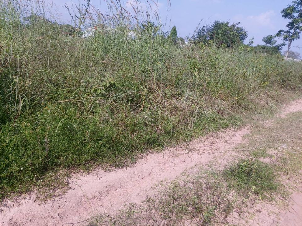 <? echo $keyword ; ?>