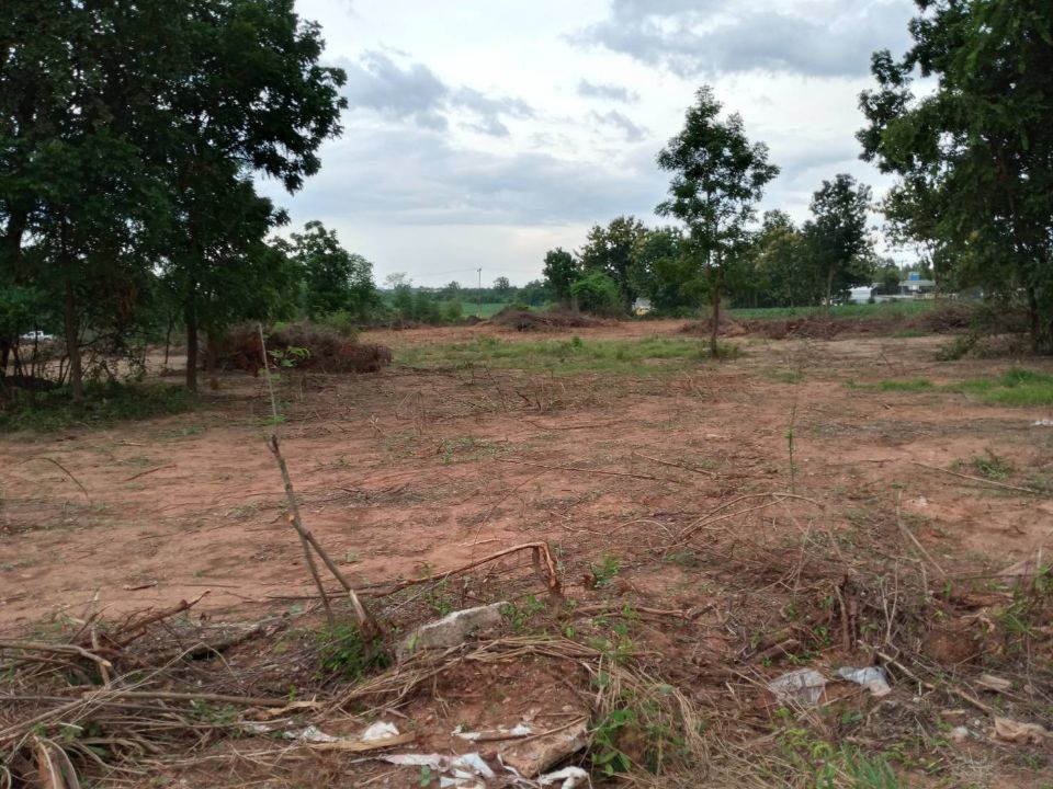 <? echo $keyword ; ?>