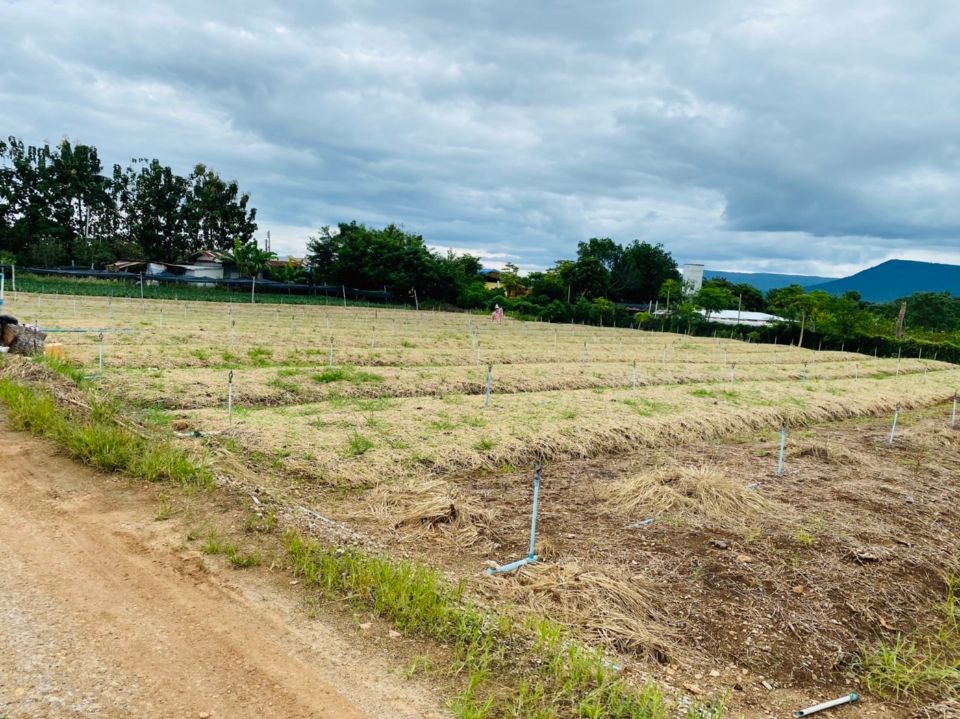 <? echo $keyword ; ?>