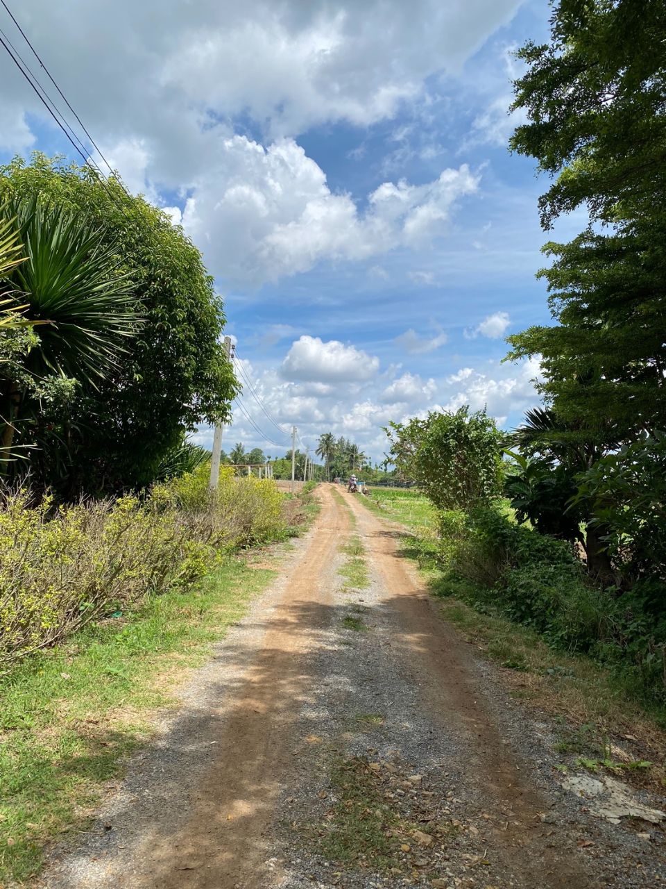 <? echo $keyword ; ?>