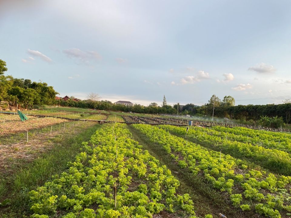 <? echo $keyword ; ?>