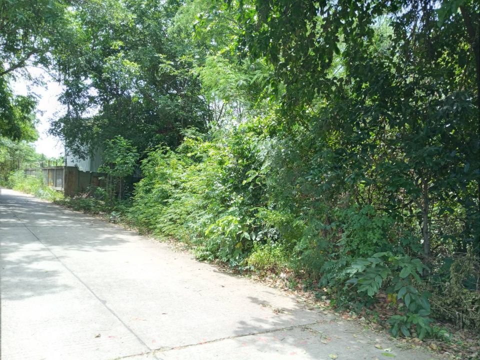 <? echo $keyword ; ?>