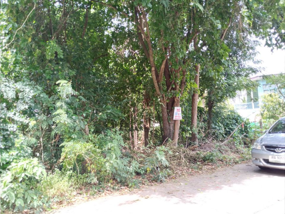 <? echo $keyword ; ?>