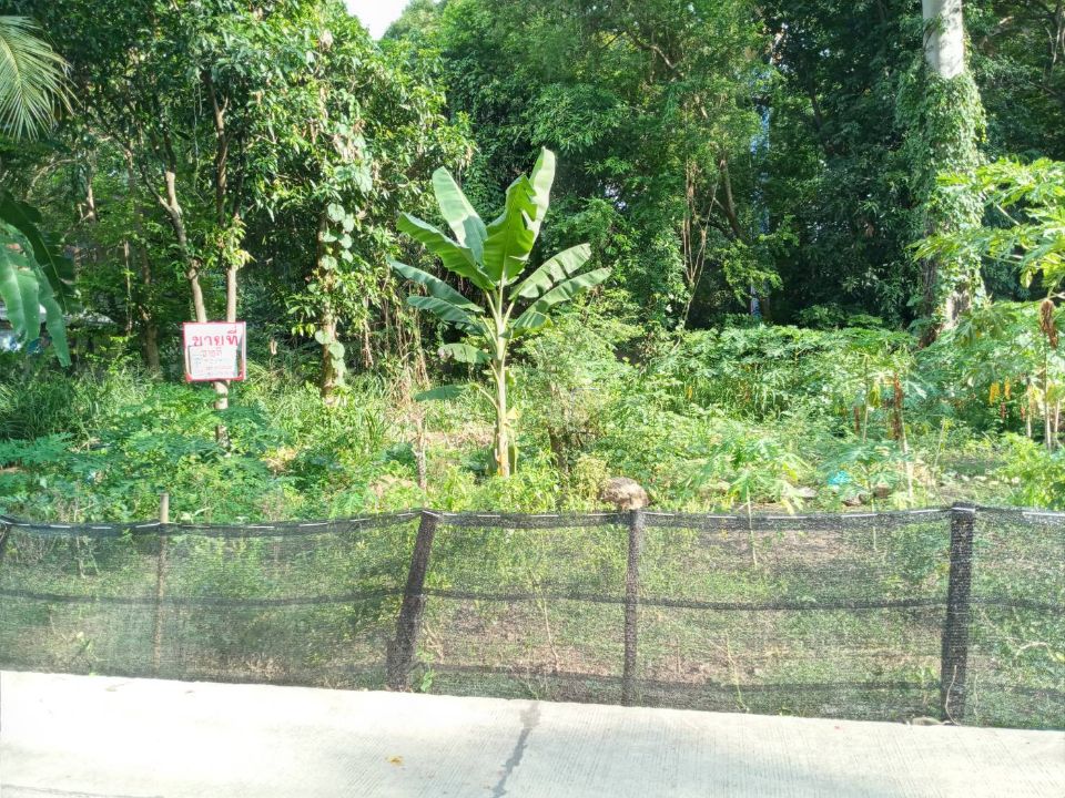 <? echo $keyword ; ?>