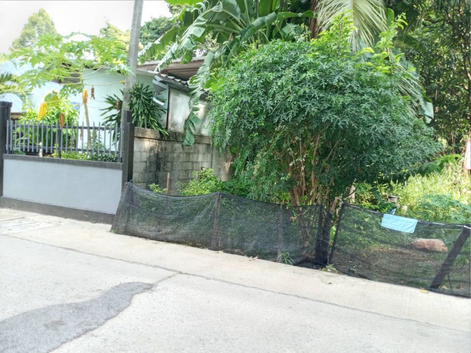 <? echo $keyword ; ?>