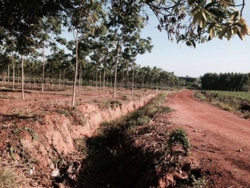 <? echo $keyword ; ?>