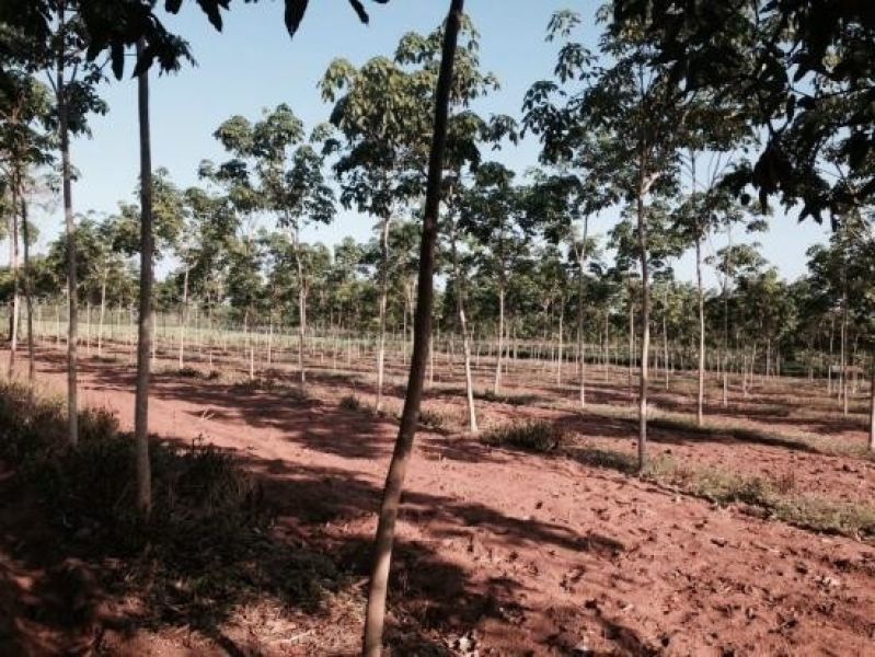 <? echo $keyword ; ?>