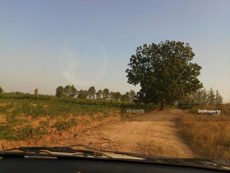 <? echo $keyword ; ?>