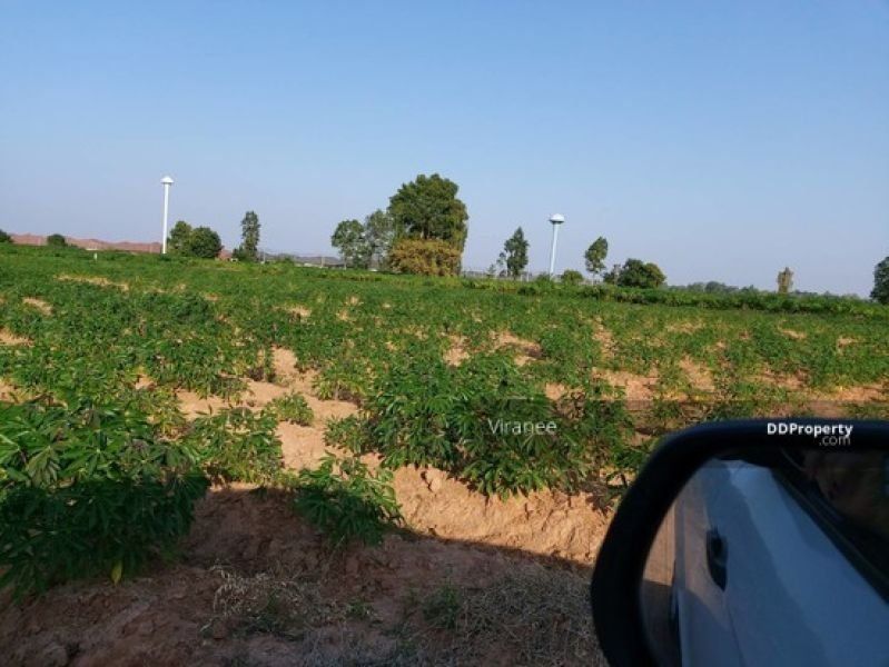 <? echo $keyword ; ?>