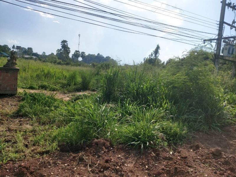 <? echo $keyword ; ?>