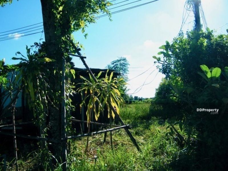 <? echo $keyword ; ?>