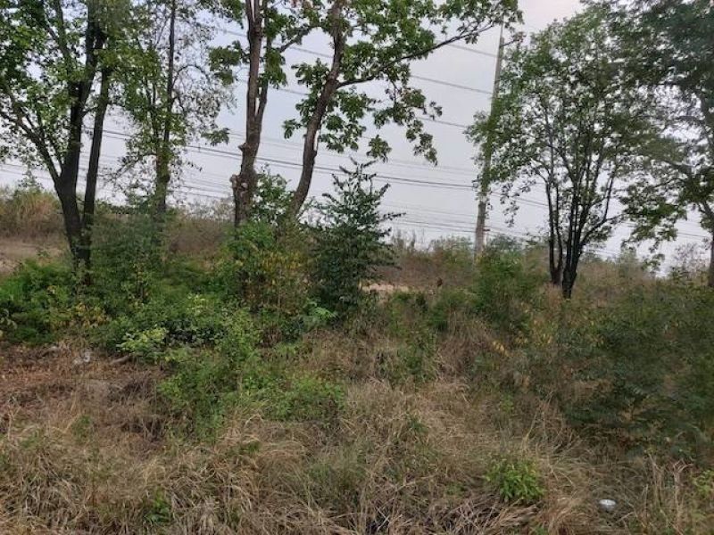 <? echo $keyword ; ?>