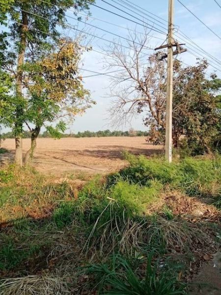 <? echo $keyword ; ?>