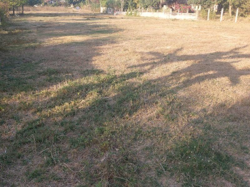 <? echo $keyword ; ?>