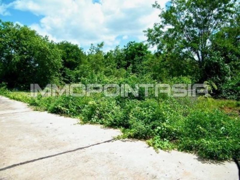 <? echo $keyword ; ?>