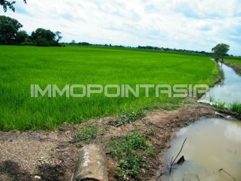 <? echo $keyword ; ?>