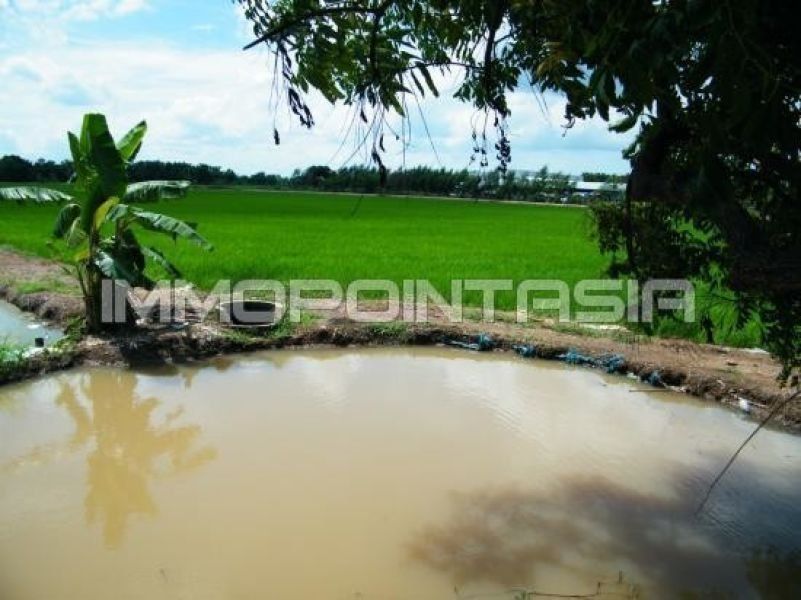 <? echo $keyword ; ?>