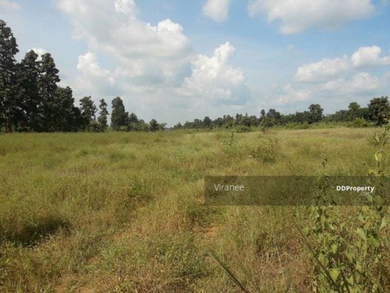 <? echo $keyword ; ?>