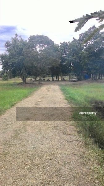 <? echo $keyword ; ?>