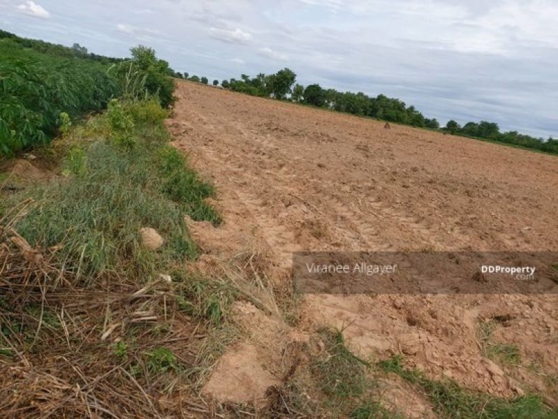 <? echo $keyword ; ?>