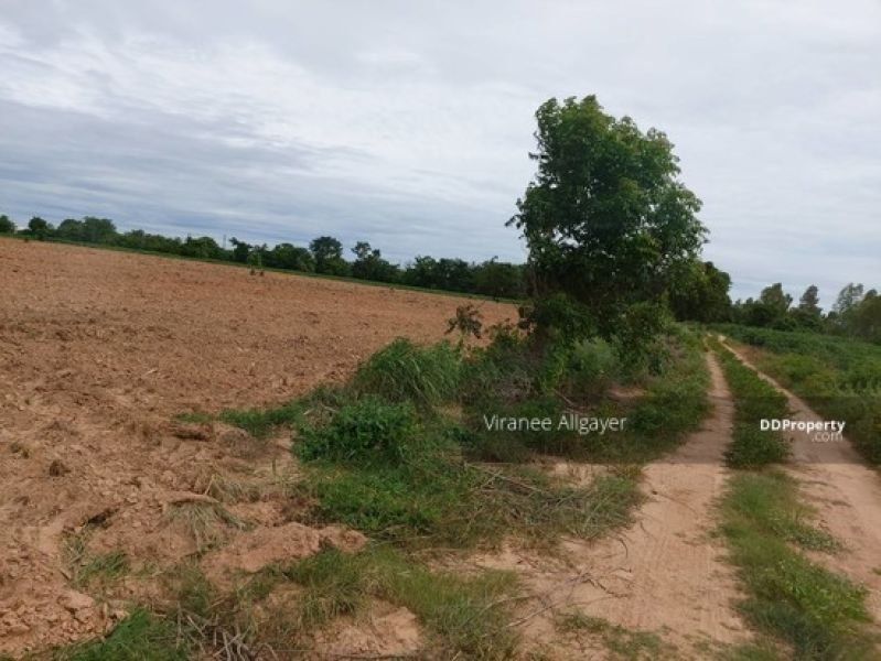 <? echo $keyword ; ?>