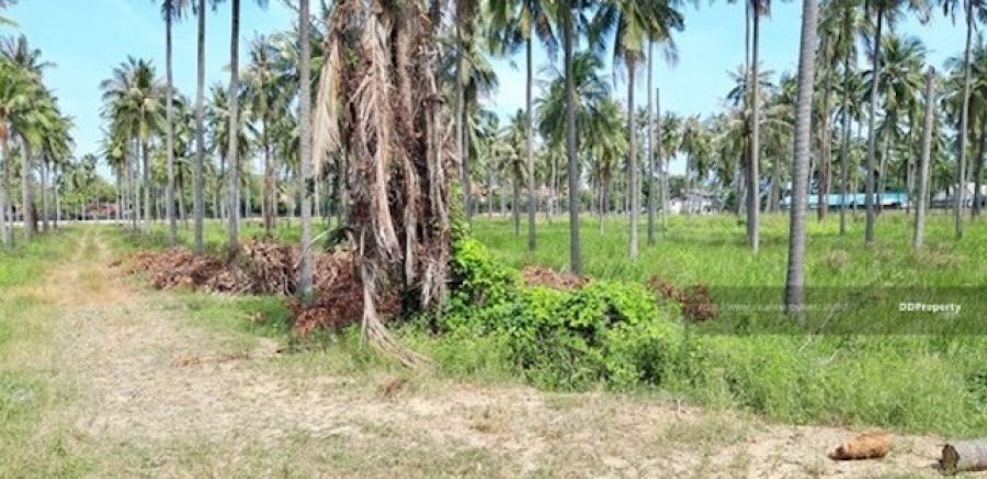 <? echo $keyword ; ?>