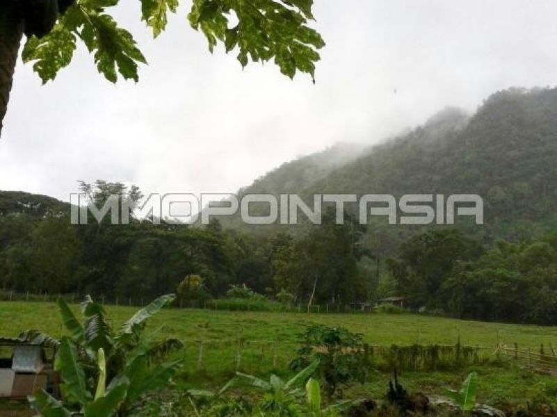 <? echo $keyword ; ?>