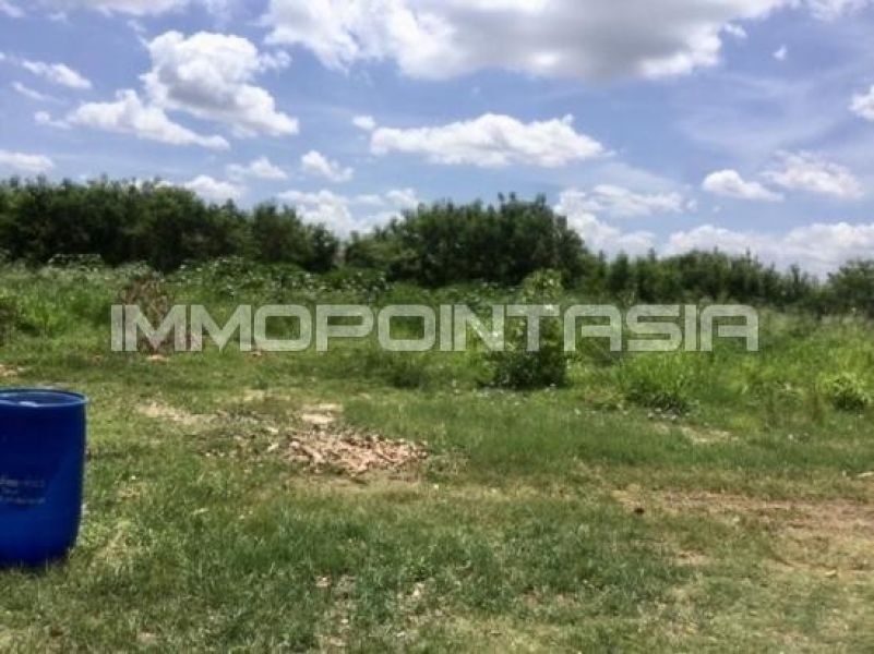 <? echo $keyword ; ?>