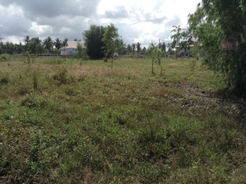 <? echo $keyword ; ?>