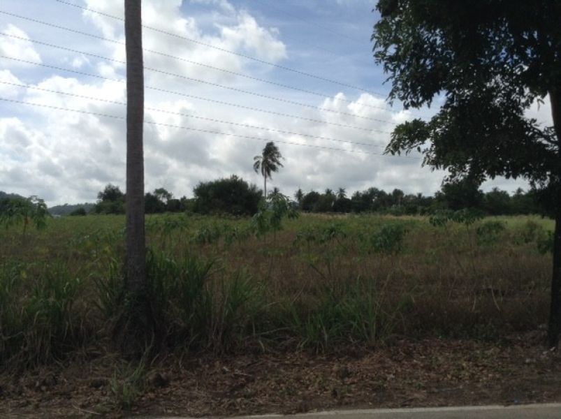 <? echo $keyword ; ?>