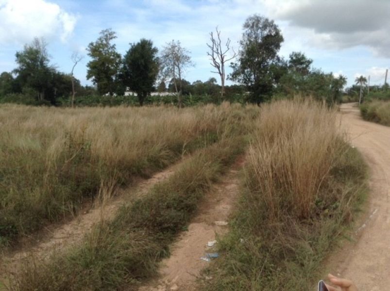 <? echo $keyword ; ?>