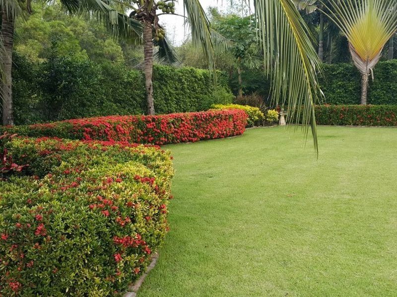 <? echo $keyword ; ?>