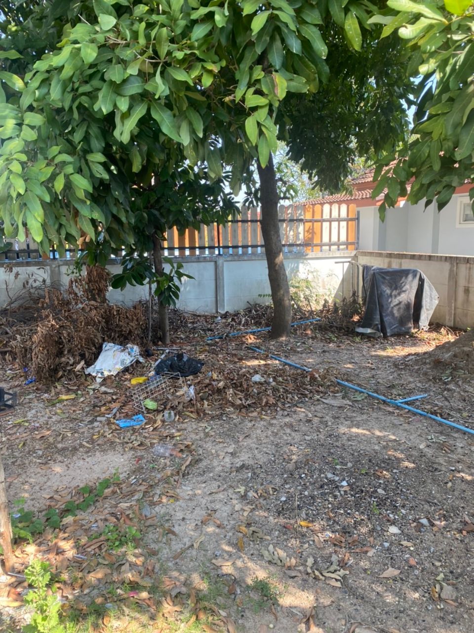 ขายบ้าน , ขายบ้าน โคราช , เช่าบ้าน , เช่าบ้าน โคราช , แบบบ้าน , รูปบ้าน , บ้านสวยๆ , บ้านเช่าราคาถูก , บ้านขายราคาถูก , บ้านให้เช่า ,ขายคอนโด , ขายคอนโด โคราช , เช่าคอนโด , เช่าคอนโด โคราช , แบบคอนโด , รูปคอนโด , คอนโดสวยๆ , คอนโดเช่าราคาถูก , คอนโดขายราคาถูก , คอนโดให้เช่า ,ขายวิลล่า , ขายวิลล่า โคราช , เช่าวิลล่า , เช่าวิลล่า โคราช , แบบวิลล่า , รูปวิลล่า , วิลล่าสวยๆ , วิลล่าเช่าราคาถูก , วิลล่าขายราคาถูก , วิลล่าให้เช่า ,ขายทาวน์เฮ้าส์ , ขายทาวน์เฮ้าส์ โคราช , เช่าทาวน์เฮ้าส์ , เช่าทาวน์เฮ้าส์ โคราช , แบบทาวน์เฮ้าส์ , รูปทาวน์เฮ้าส์ , ทาวน์เฮ้าส์สวยๆ , ทาวน์เฮ้าส์เช่าราคาถูก , ทาวน์เฮ้าส์ขายราคาถูก , ทาวน์เฮ้าส์ให้เช่า ,ขายทาวน์เฮ้าส์ , ขายทาวน์เฮ้าส์ โคราช , เช่าทาวน์เฮ้าส์ , เช่าทาวน์เฮ้าส์ โคราช , แบบทาวน์เฮ้าส์ , รูปทาวน์เฮ้าส์ , ทาวน์เฮ้าส์สวยๆ , ทาวน์เฮ้าส์เช่าราคาถูก , ทาวน์เฮ้าส์ขายราคาถูก , ทาวน์เฮ้าส์ให้เช่า ,ขายสำนักงาน , ขายสำนักงาน โคราช , เช่าสำนักงาน , เช่าสำนักงาน โคราช , แบบสำนักงาน , รูปสำนักงาน , สำนักงานสวยๆ , สำนักงานเช่าราคาถูก , สำนักงานขายราคาถูก , สำนักงานให้เช่า ,ขายที่ดิน , ขายที่ดิน โคราช , เช่าที่ดิน , เช่าที่ดิน โคราช  , รูปที่ดิน , ที่ดินสวยๆ , ที่ดินเช่าราคาถูก , ที่ดินขายราคาถูก , ที่ดินให้เช่า , บ้านเช่า โคราช 