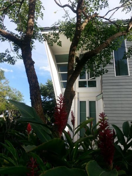 <? echo $keyword ; ?>